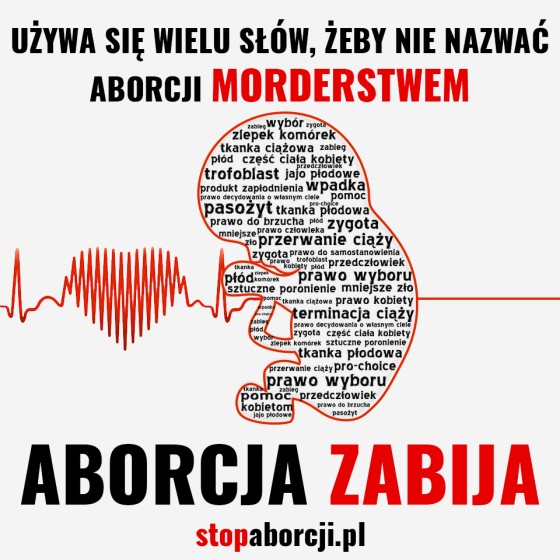 Zabójstwo